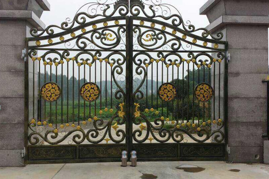 铁艺大门 dm06